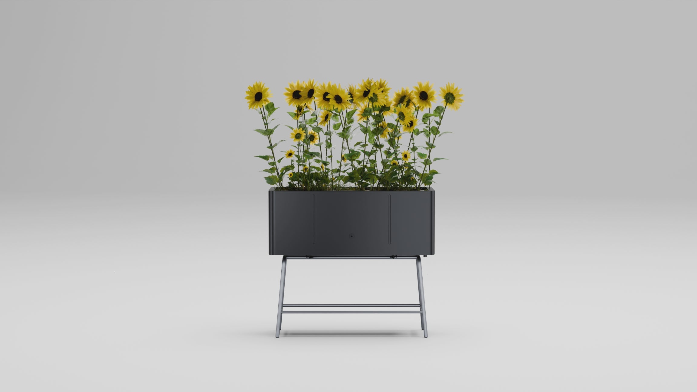 The Botanist Planter